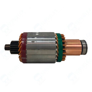 ARMADURA DELCO REMY 12V - 61007734